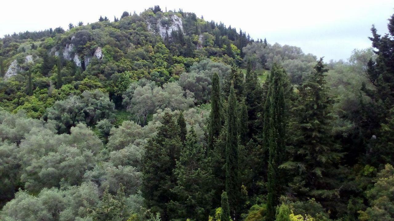 Dafnáta Kostas Walkers Point Bed & Breakfast エクステリア 写真